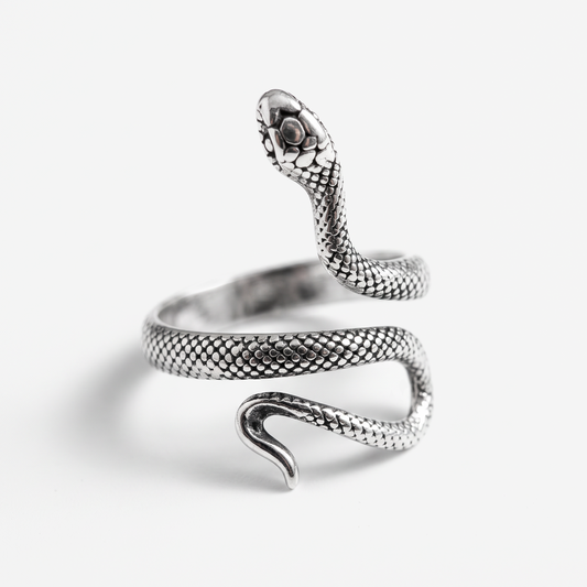 A silver snake ring with a detailed textured scale pattern, featuring a raised snake head and a coiled body, photographed on a clean white background.